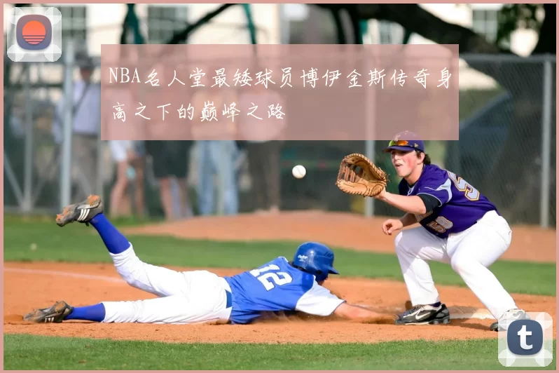 NBA名人堂最矮球员博伊金斯传奇身高之下的巅峰之路