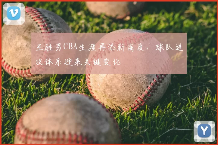 王胜男CBA生涯再添新高度，球队进攻体系迎来关键变化