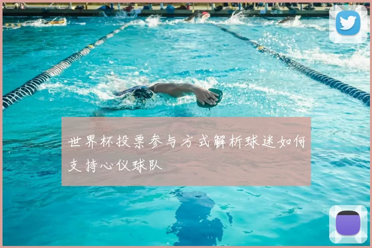 世界杯投票参与方式解析球迷如何支持心仪球队