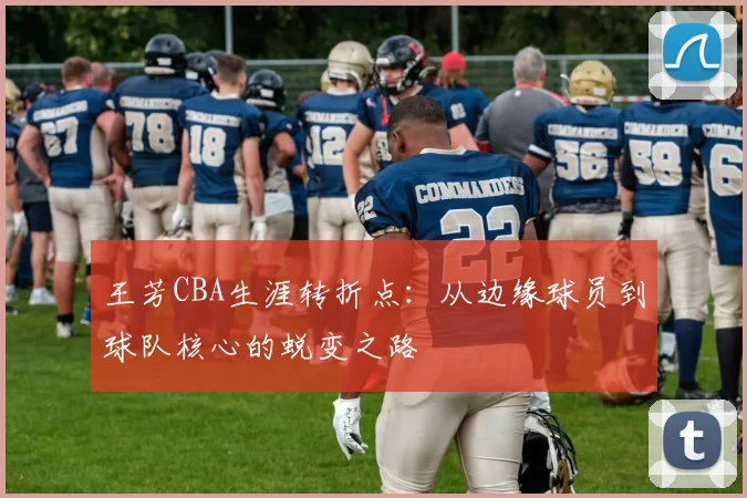 王芳CBA生涯转折点：从边缘球员到球队核心的蜕变之路