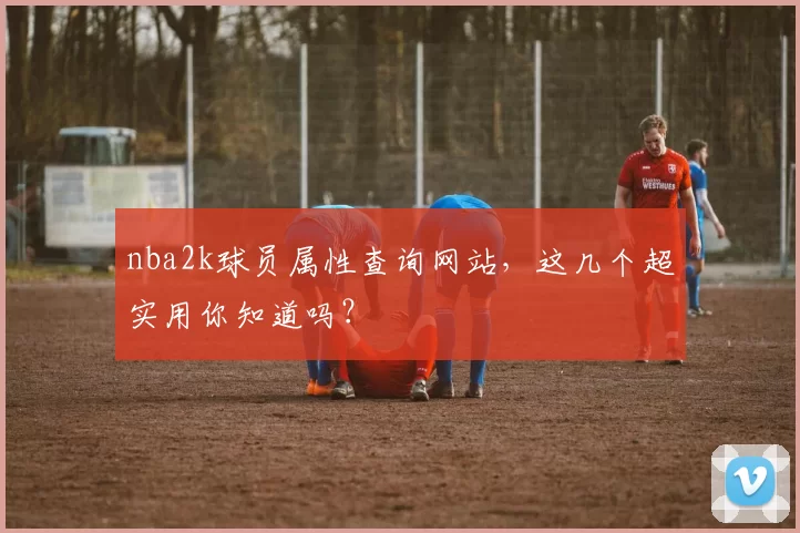 nba2k球员属性查询网站，这几个超实用你知道吗？