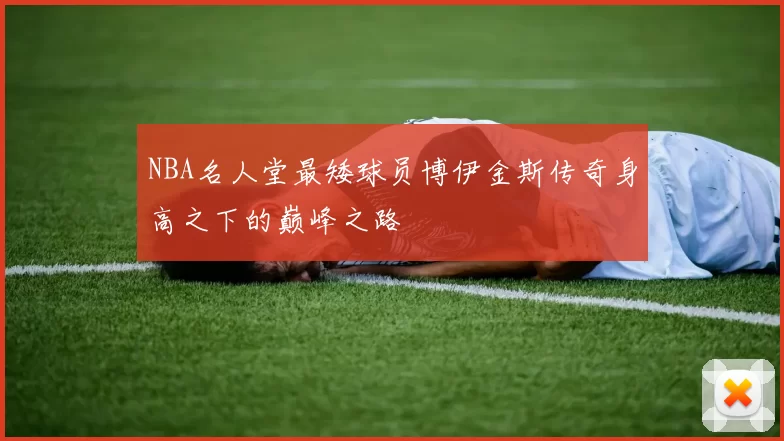 NBA名人堂最矮球员博伊金斯传奇身高之下的巅峰之路