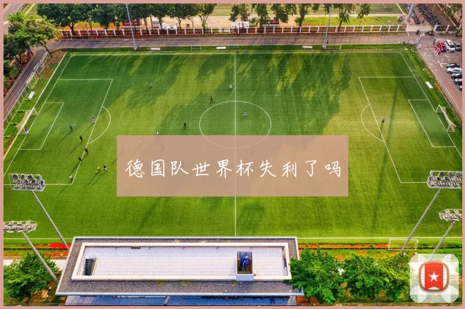 德国队世界杯失利了吗