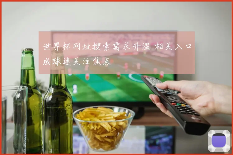 世界杯网址搜索需求升温 相关入口成球迷关注焦点