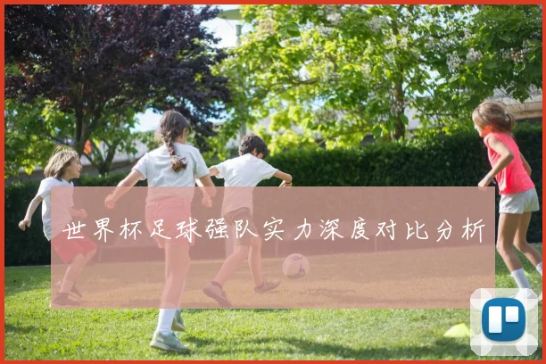 世界杯足球强队实力深度对比分析