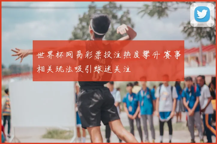 世界杯网易彩票投注热度攀升 赛事相关玩法吸引球迷关注