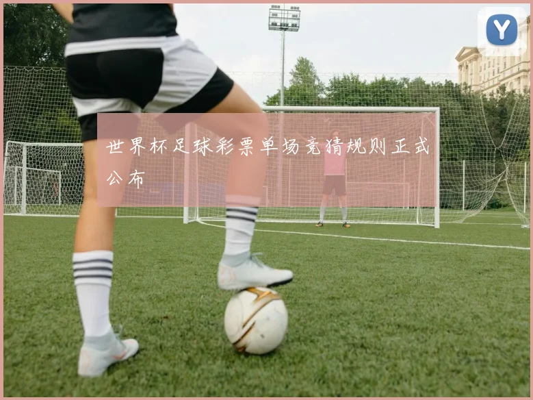 世界杯足球彩票单场竞猜规则正式公布