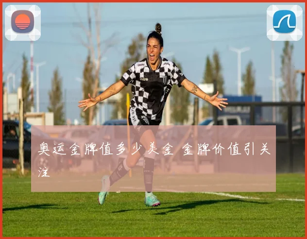 奥运金牌值多少美金 金牌价值引关注