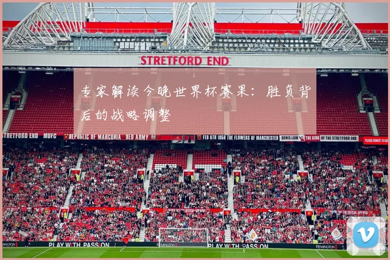 专家解读今晚世界杯赛果：胜负背后的战略调整