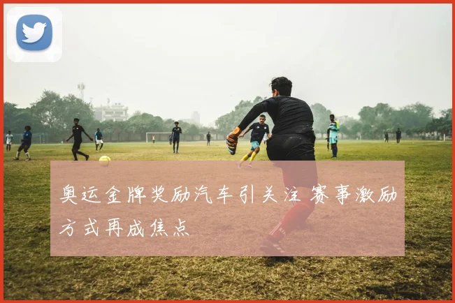 奥运金牌奖励汽车引关注 赛事激励方式再成焦点