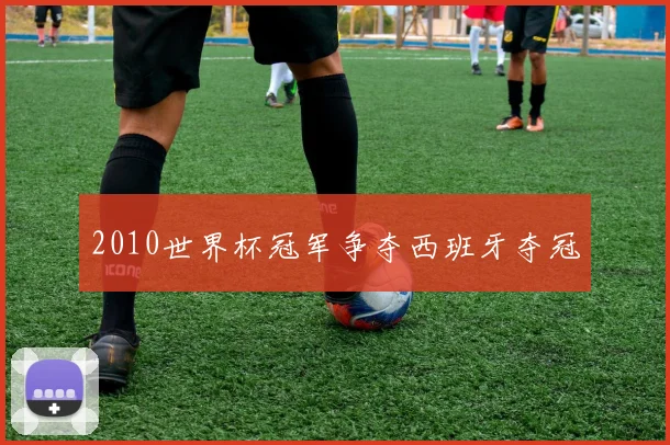 2010世界杯冠军争夺西班牙夺冠