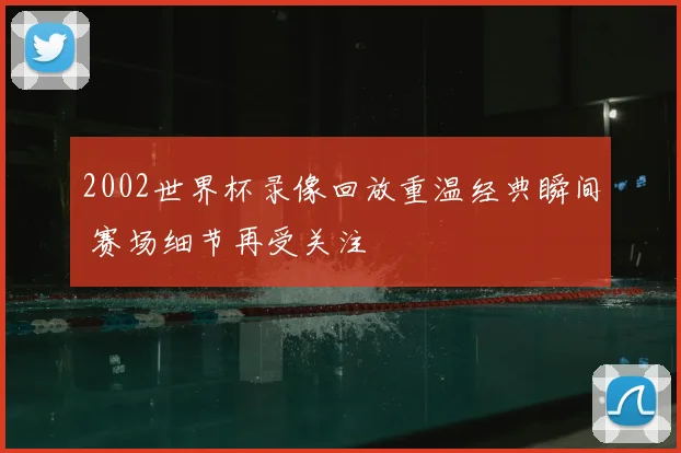 2002世界杯录像回放重温经典瞬间 赛场细节再受关注