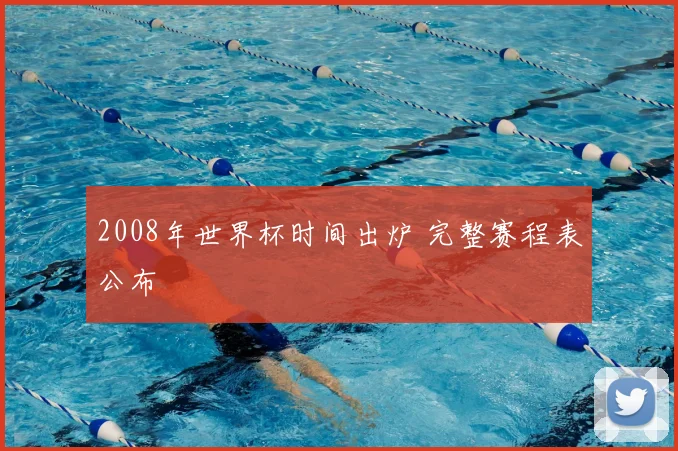 2008年世界杯时间出炉 完整赛程表公布